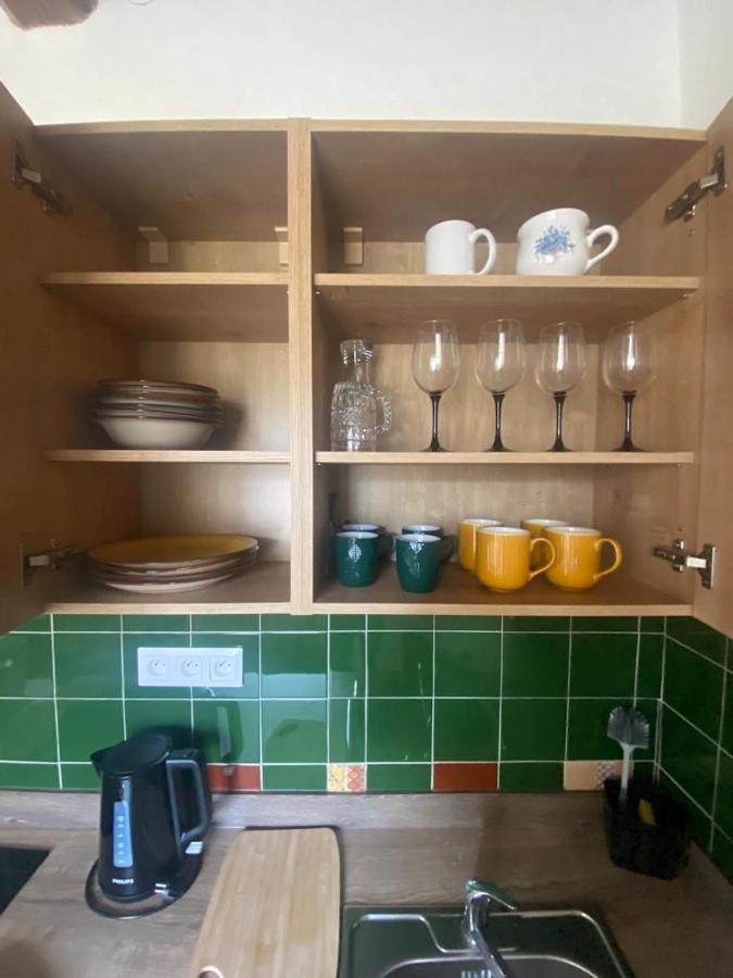 Vila Lucia - Apartman 1 Plzen Ngoại thất bức ảnh