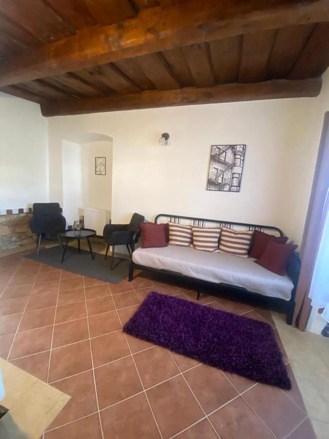 Vila Lucia - Apartman 1 Plzen Ngoại thất bức ảnh